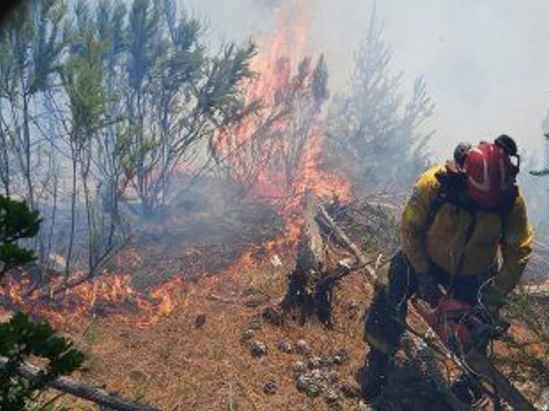 Lograron detener el incendio en el cerro Currumahuida: el fuego consumió 100 hectáreas