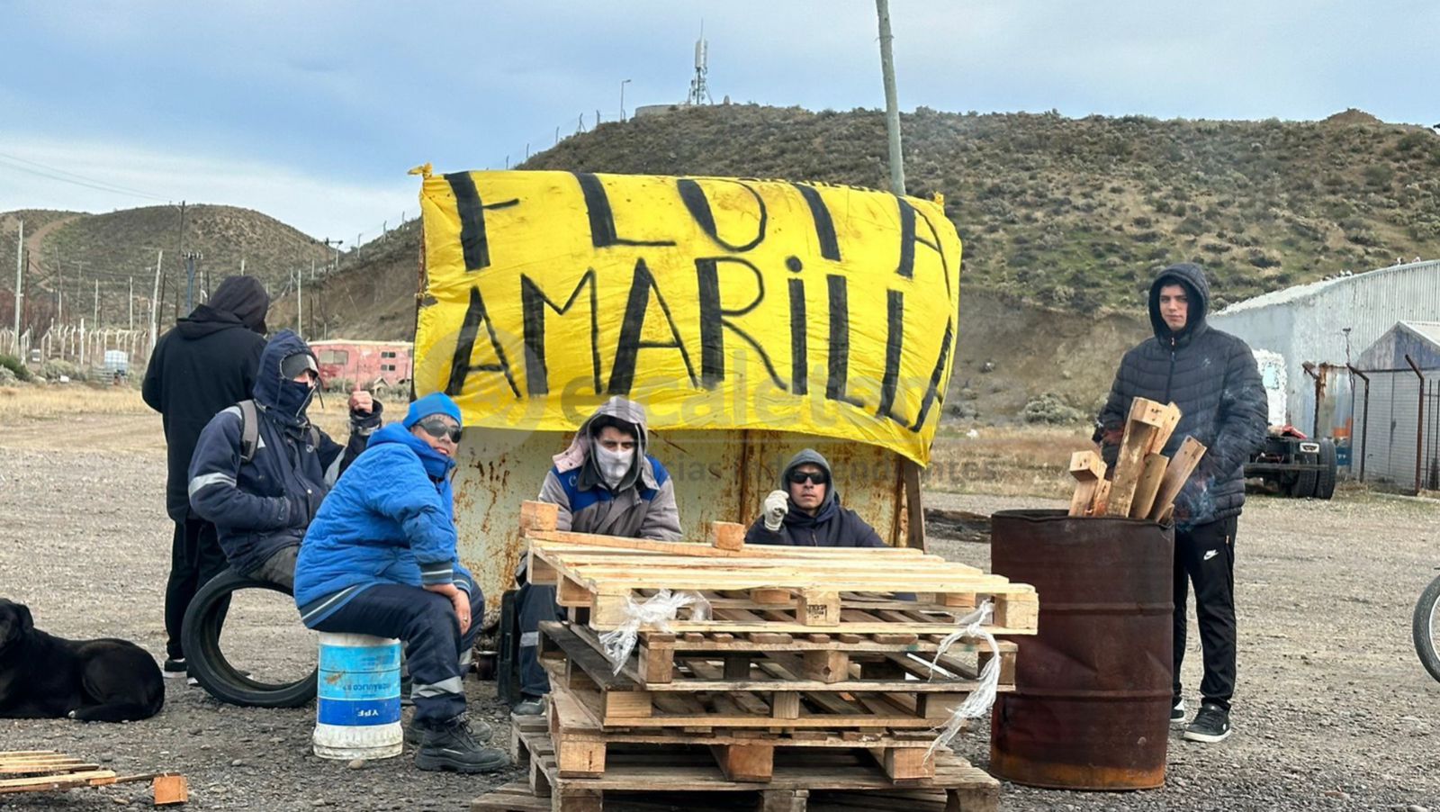Dos meses sin respuestas: estibadores de Banquina Chica, se encuentran a la espera de trabajo 