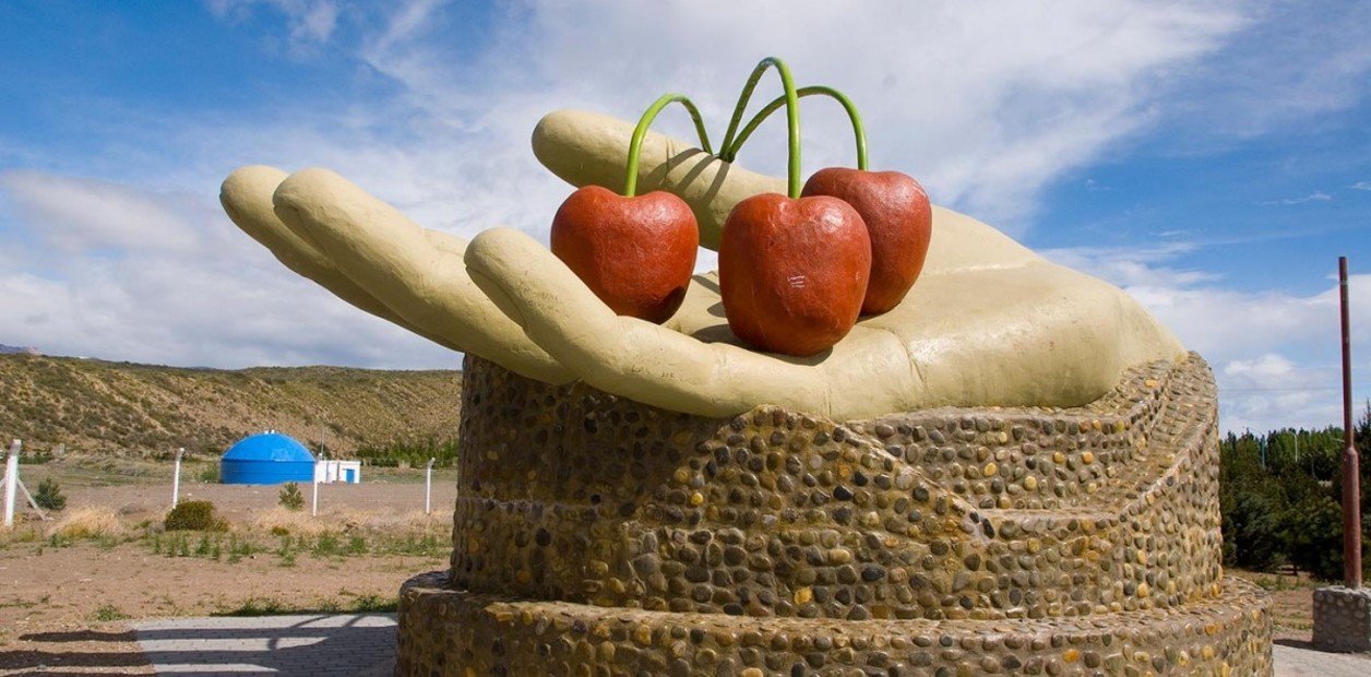 Una de las mejores del mundo: destacan a Los Antiguos por la modernización en la producción de cereza