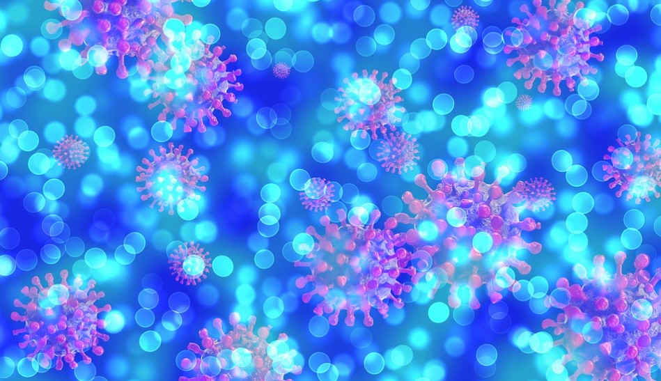 Coronavirus: hallaron un nuevo “súper anticuerpo” que podría combatir todas las variantes del Covid-19