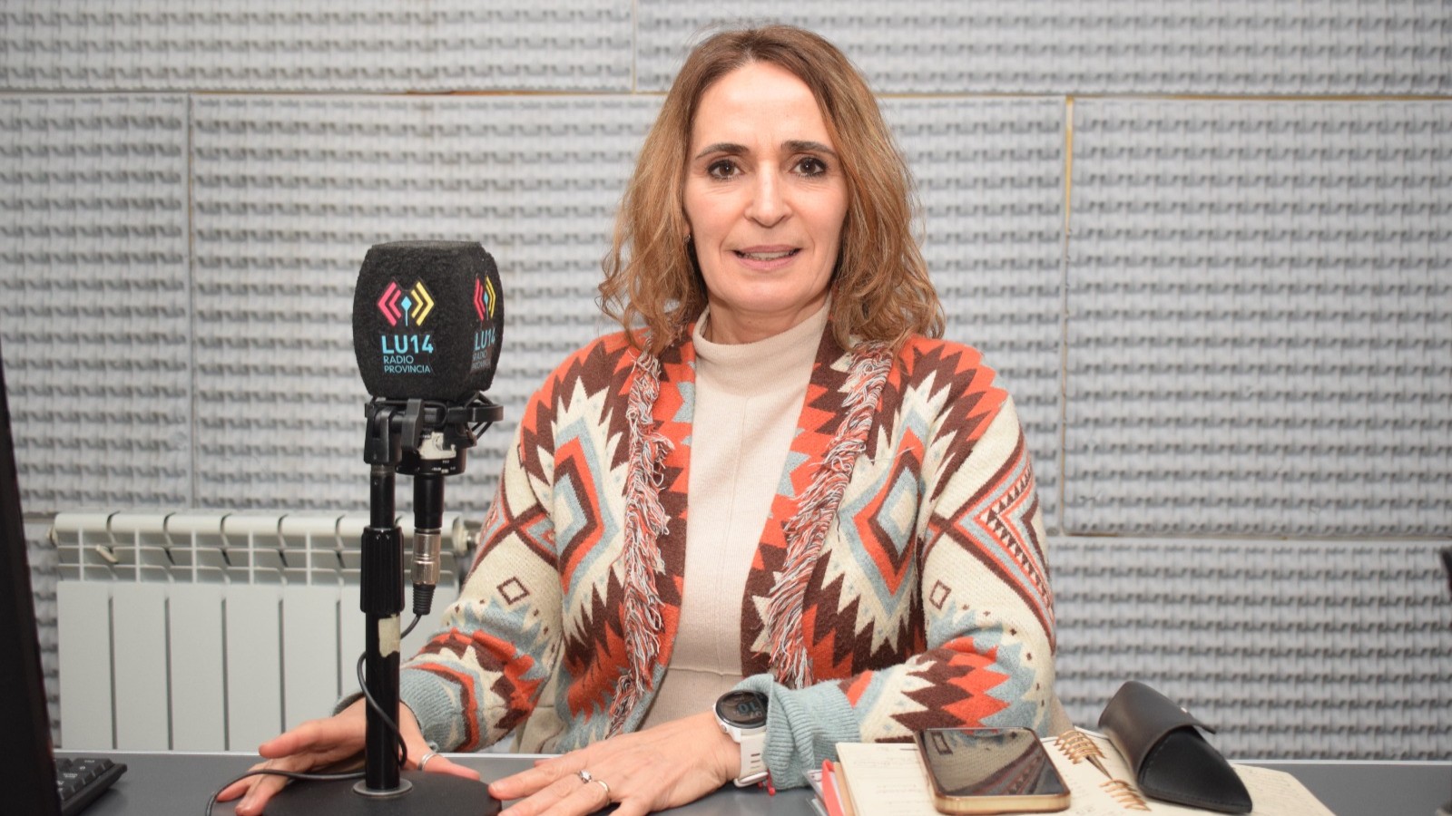 Ricci destacó que la conectividad aérea es prioridad en la agenda del Gobierno Provincial