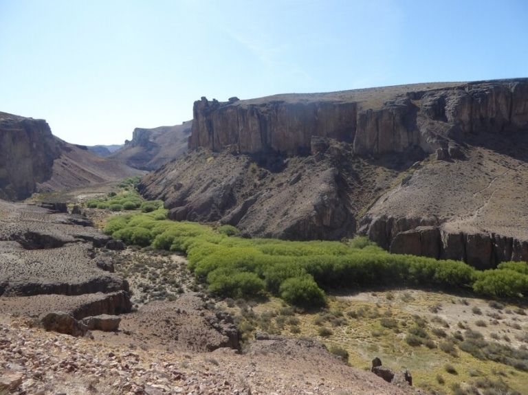 Nueva jornada de labor en comisiones en la Cámara de Diputados de Santa Cruz
