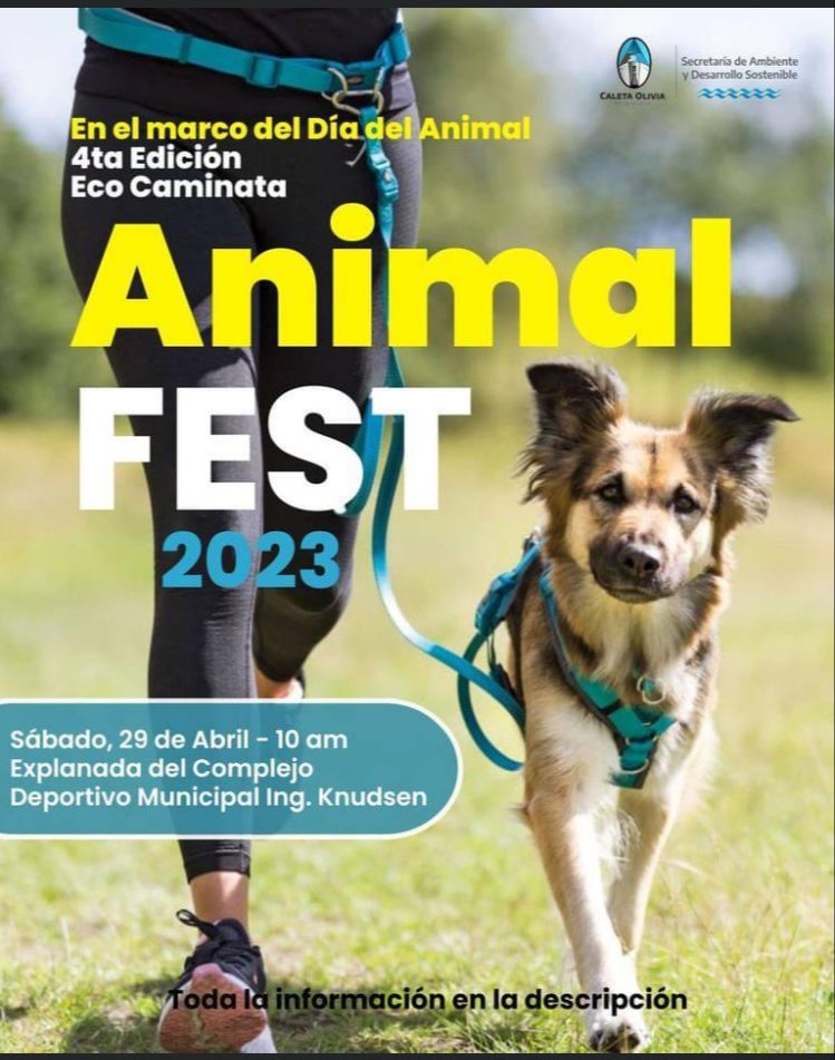 Se viene la cuarta eco caminata 