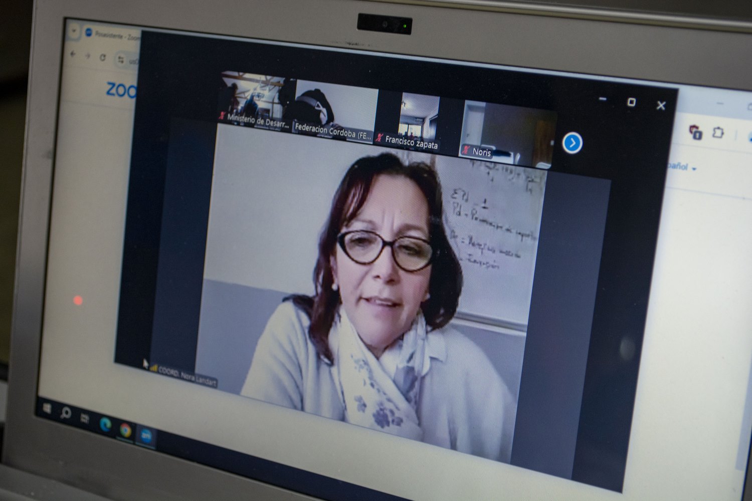 El guanaco en Santa Cruz: entre el desafío ambiental y su potencial nutricional