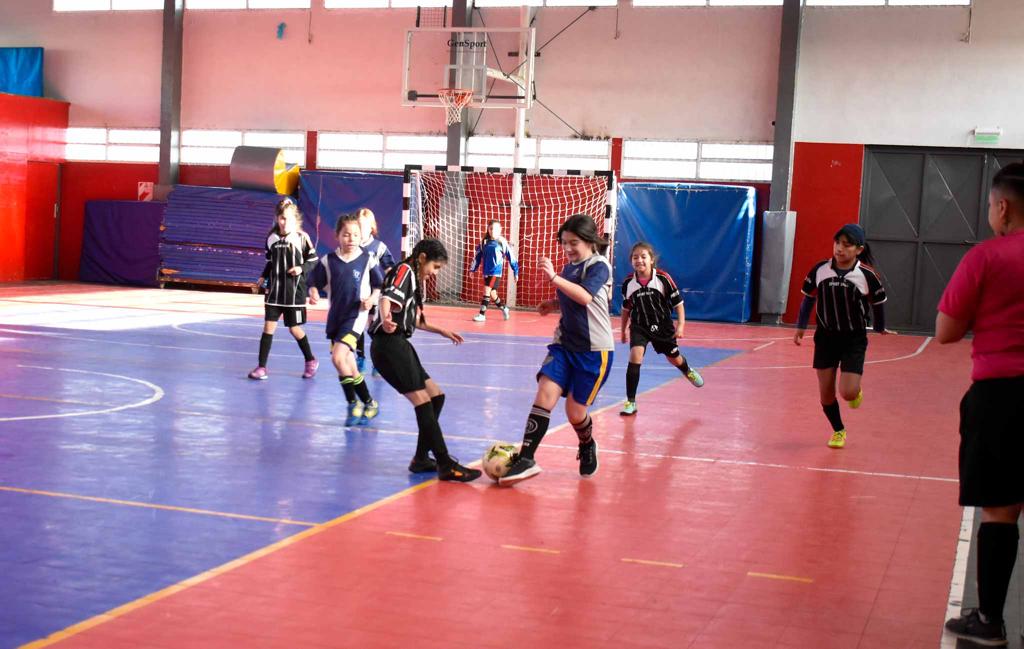 La pasión de los más chicos llena los gimnasios municipales 