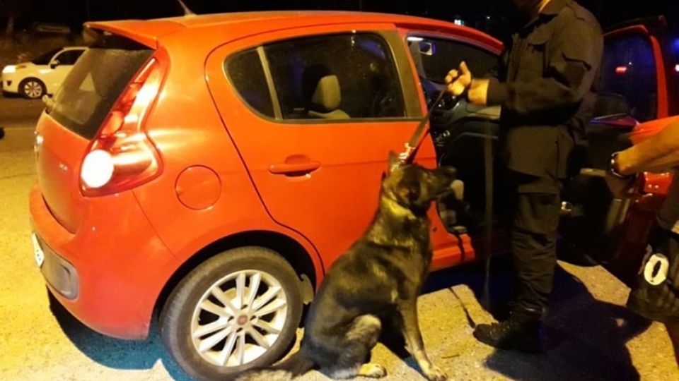 Santacruceños detenidos en la ruta Nº3 con metanfetamina y 48 dosis de LSD