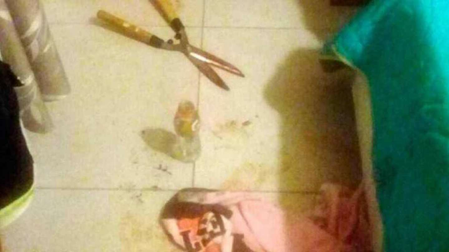 Confirman la pena de 13 años a la joven que mutiló los genitales de su novio en 2017