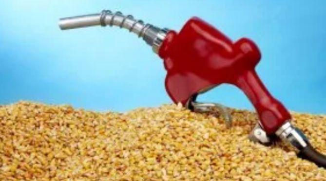Biocombustibles, los grandes perdedores de la Ley Ómnibus
