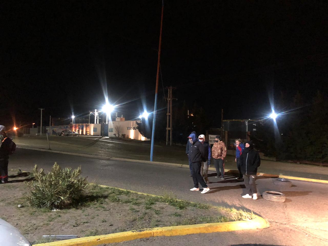 El guanaco en Santa Cruz: entre el desafío ambiental y su potencial nutricional