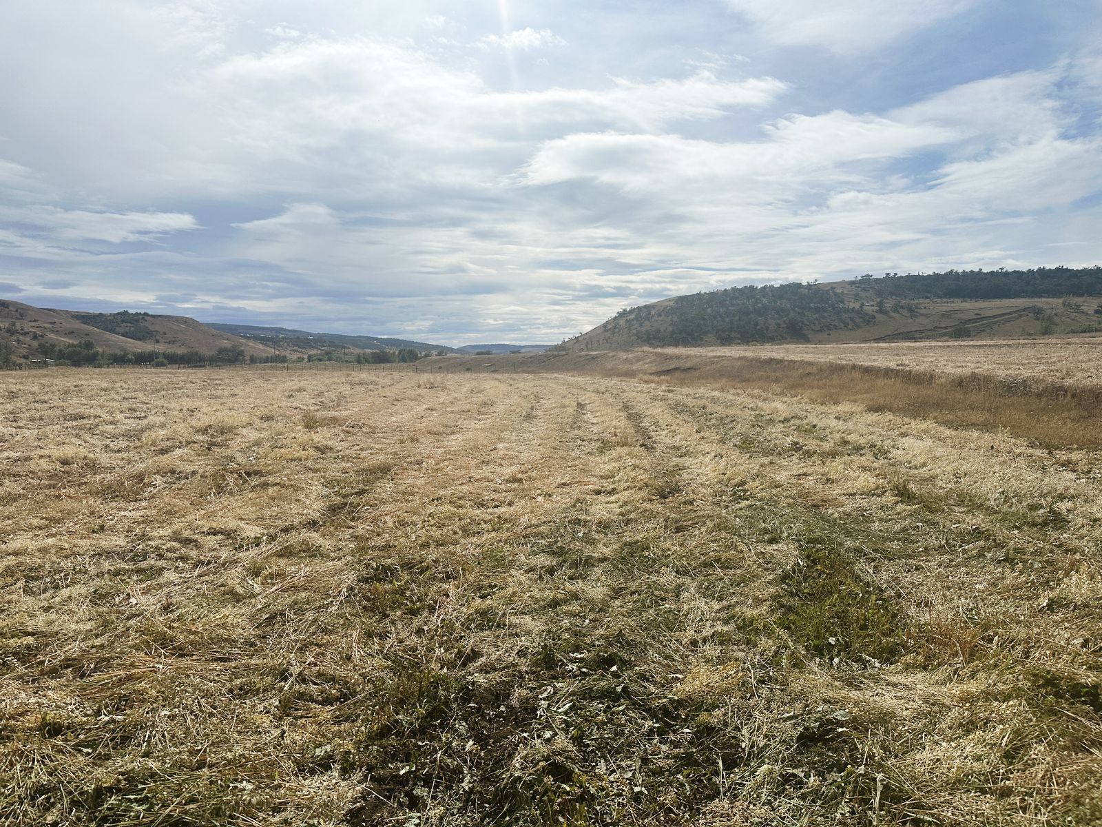 Servicios Públicos trabaja en la iluminación de la calle 22 de Río Gallegos