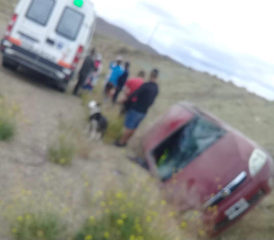 El guanaco en Santa Cruz: entre el desafío ambiental y su potencial nutricional