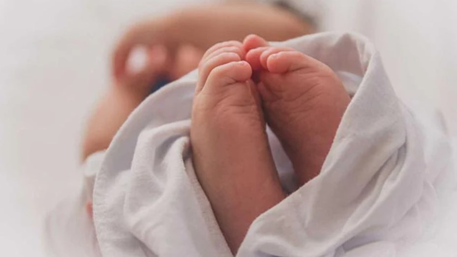 Empresa de Paises Bajos impulsa el nacimiento de bebés en el espacio