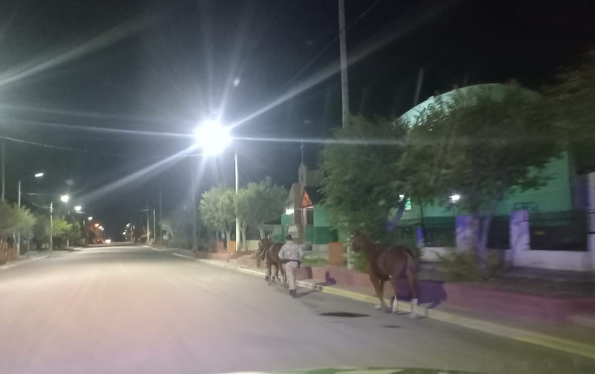 Control Policial: 2 equinos son incautados en Tres Lagos