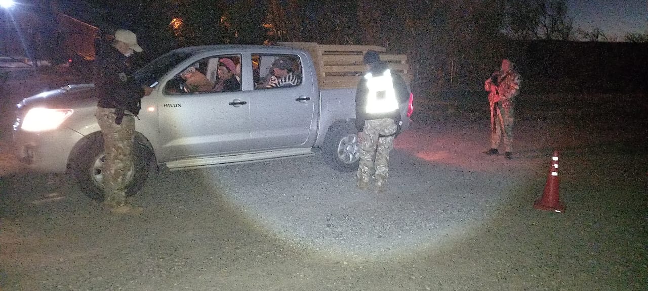 Pico Truncado: cazaban guanacos y avestruces de forma ilegal y la policía les decomisó la carne  