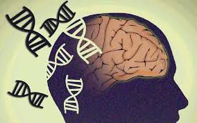 Nueva colecta solidaria: 