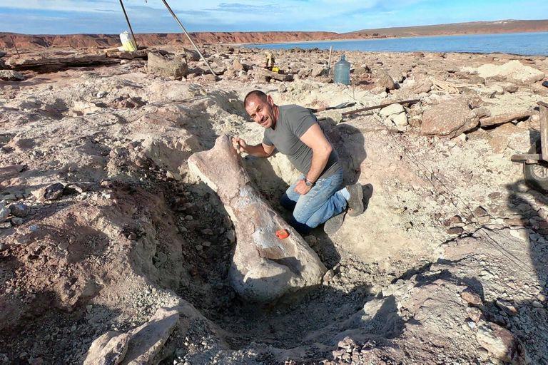 Neuquén: Por la bajante de un lago, hallaron los restos de un dinosaurio gigante 