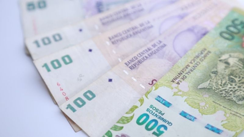 AUH: cómo se cobrará este mes el bono de $ 12.000 que otorgará el Gobierno