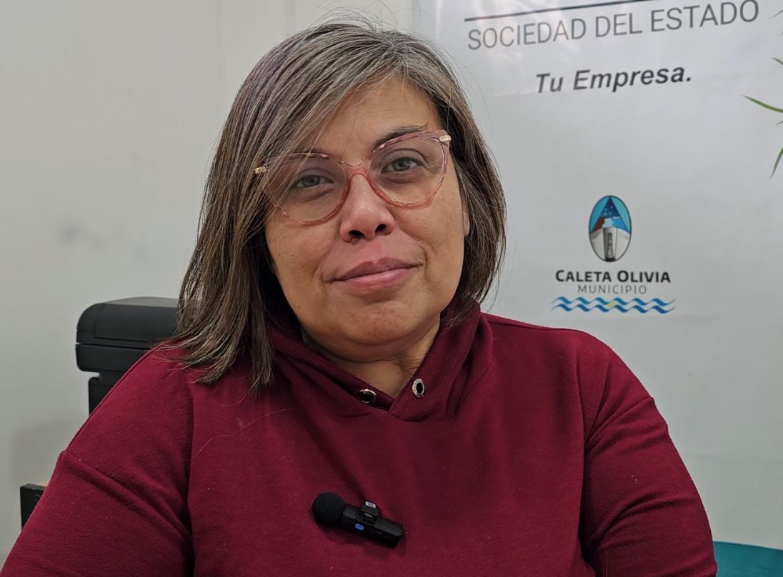 Transporte público: servicio suspendido en fiestas y aumento del boleto en febrero