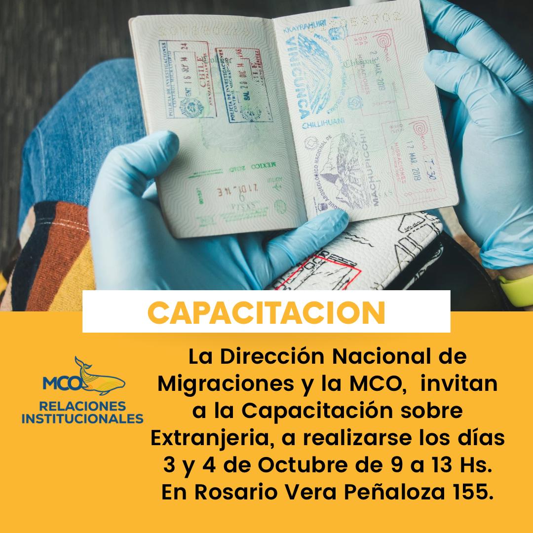 El guanaco en Santa Cruz: entre el desafío ambiental y su potencial nutricional