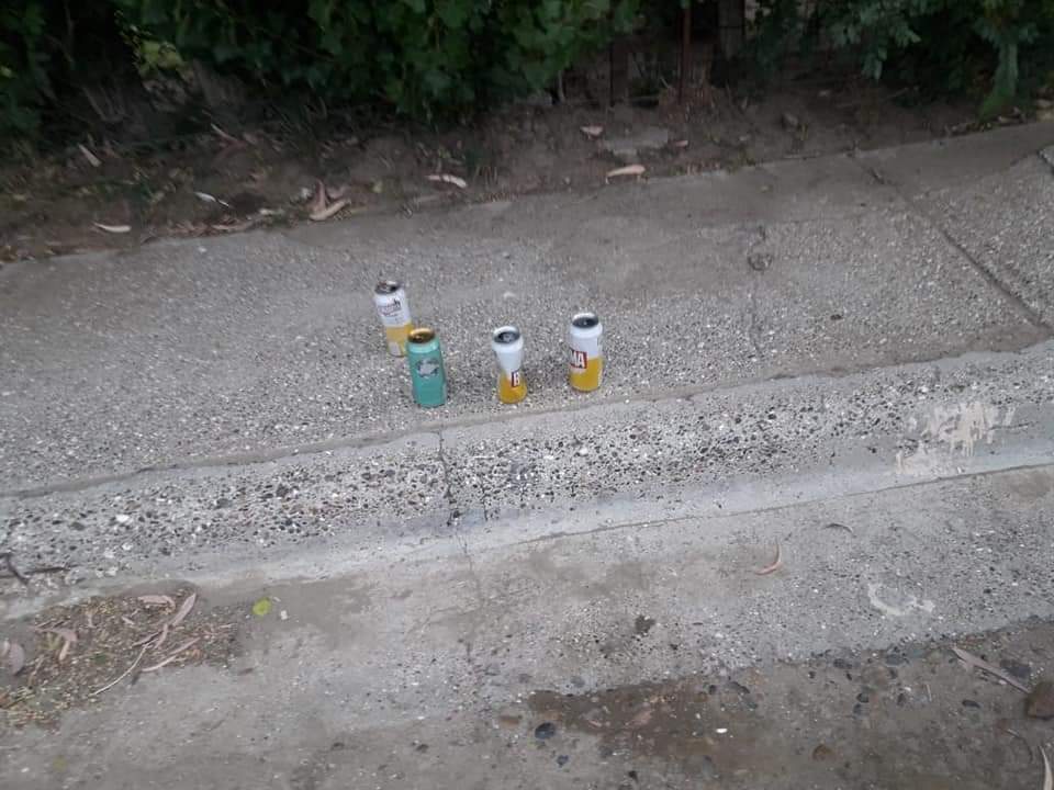 Desmantelan invernadero clandestino de marihuana en barrio Rotary XXIII