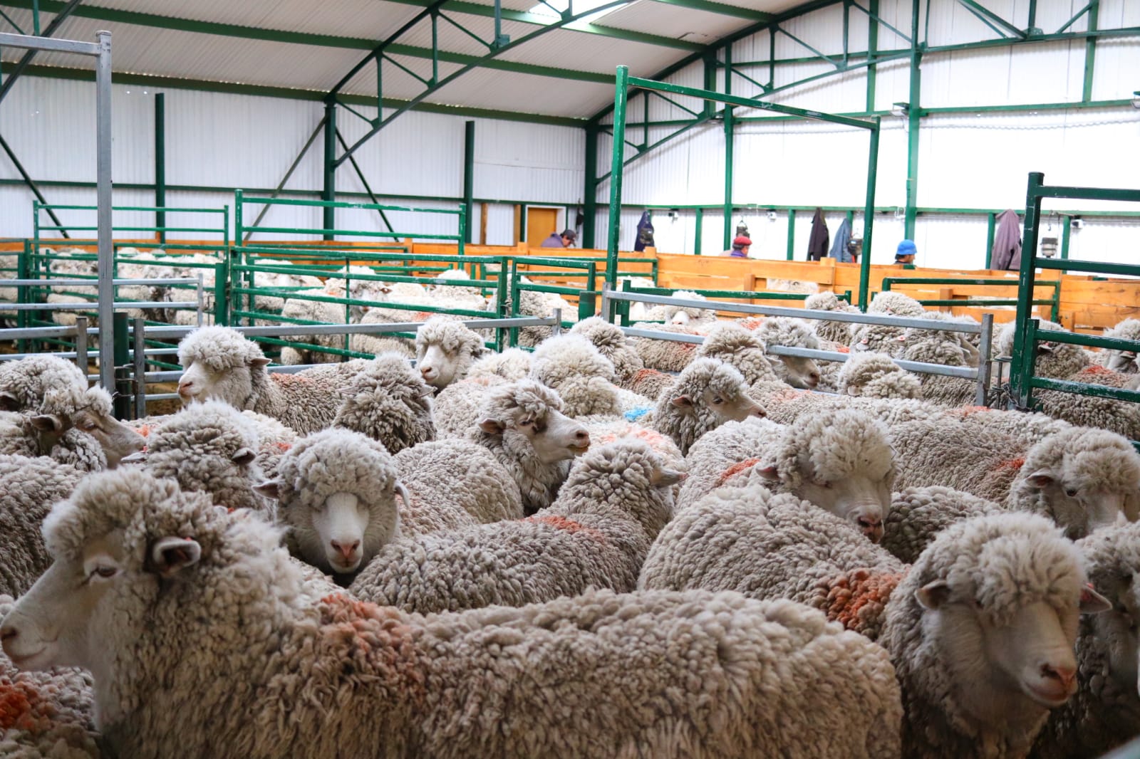 Walter Robledo: “Estamos teniendo un paro que se está sintiendo”