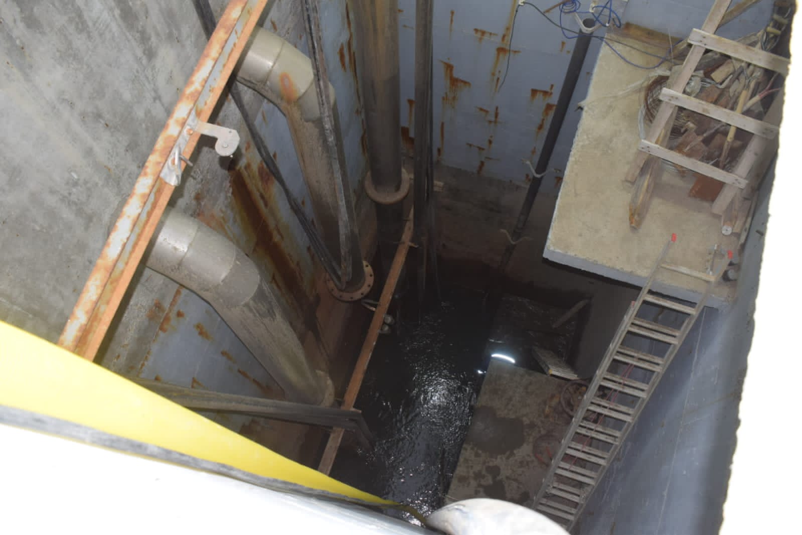 El guanaco en Santa Cruz: entre el desafío ambiental y su potencial nutricional