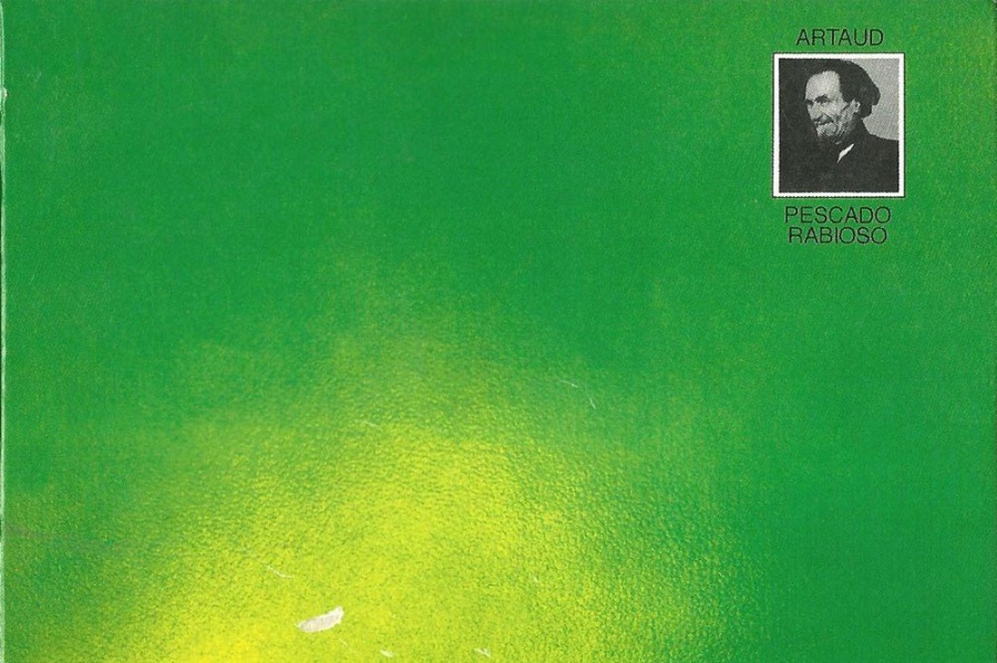 Vanina Galván: “El CPE no tiene ninguna intención avanzar en los reclamos que manifestamos”