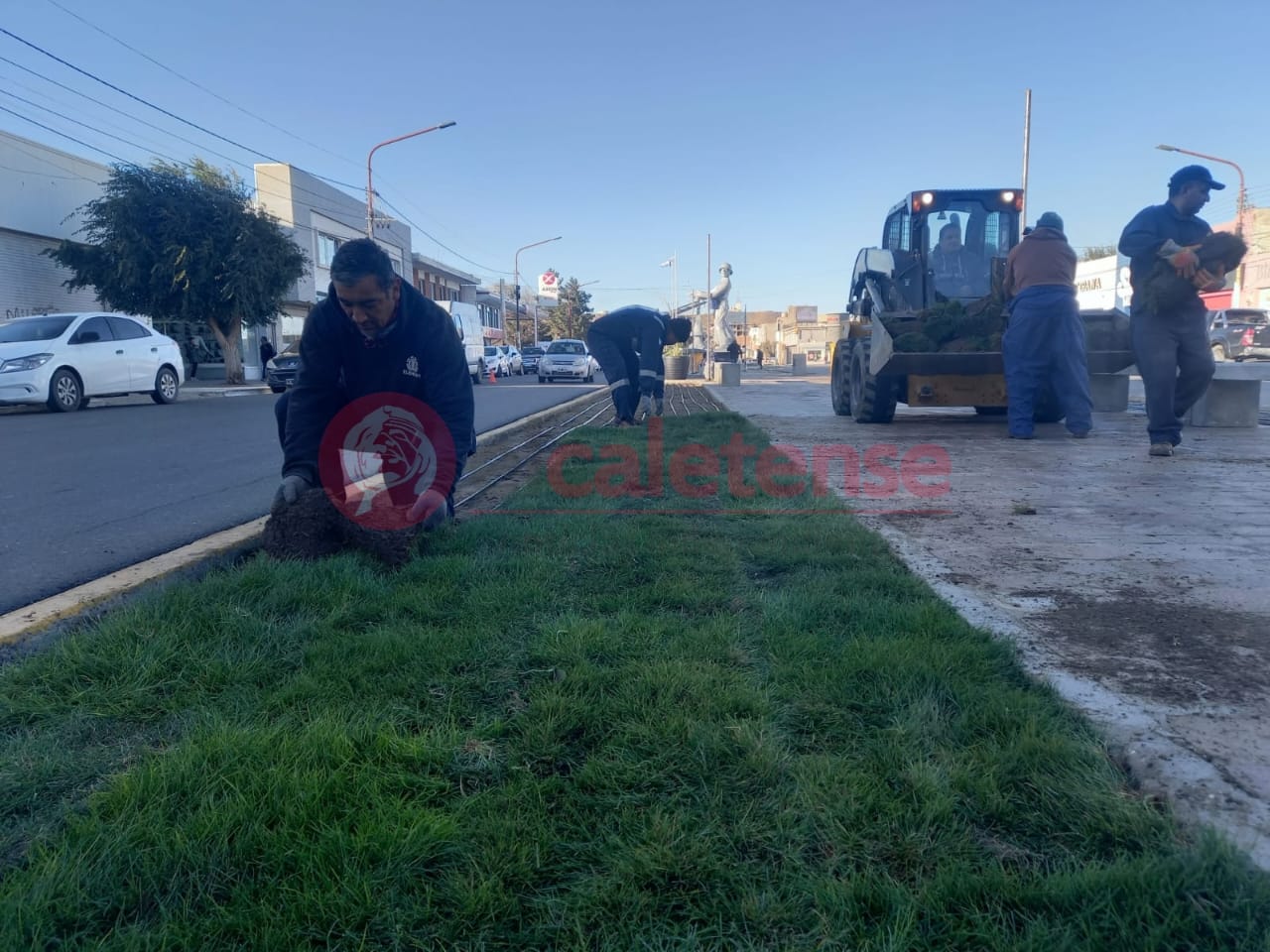 El Gorosito se renueva 