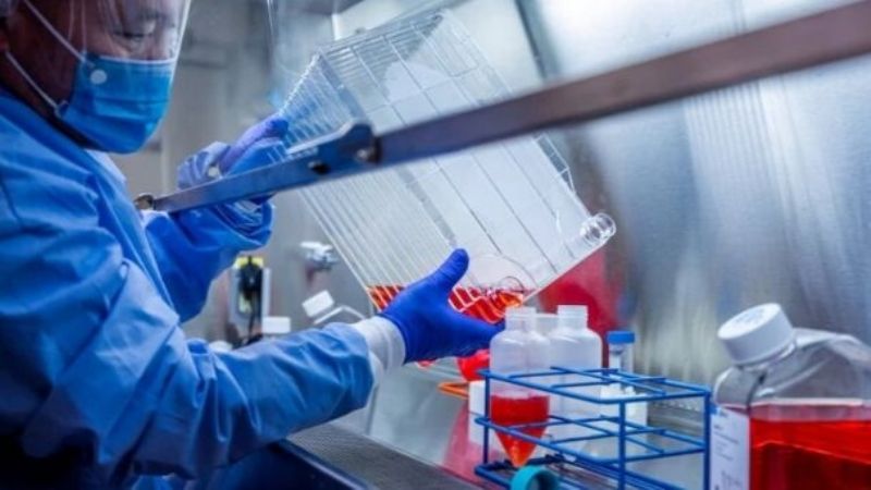 Coronavirus en Santa Cruz : se confirmaron 95 nuevos casos y 10 nuevos positivos en Caleta Olivia