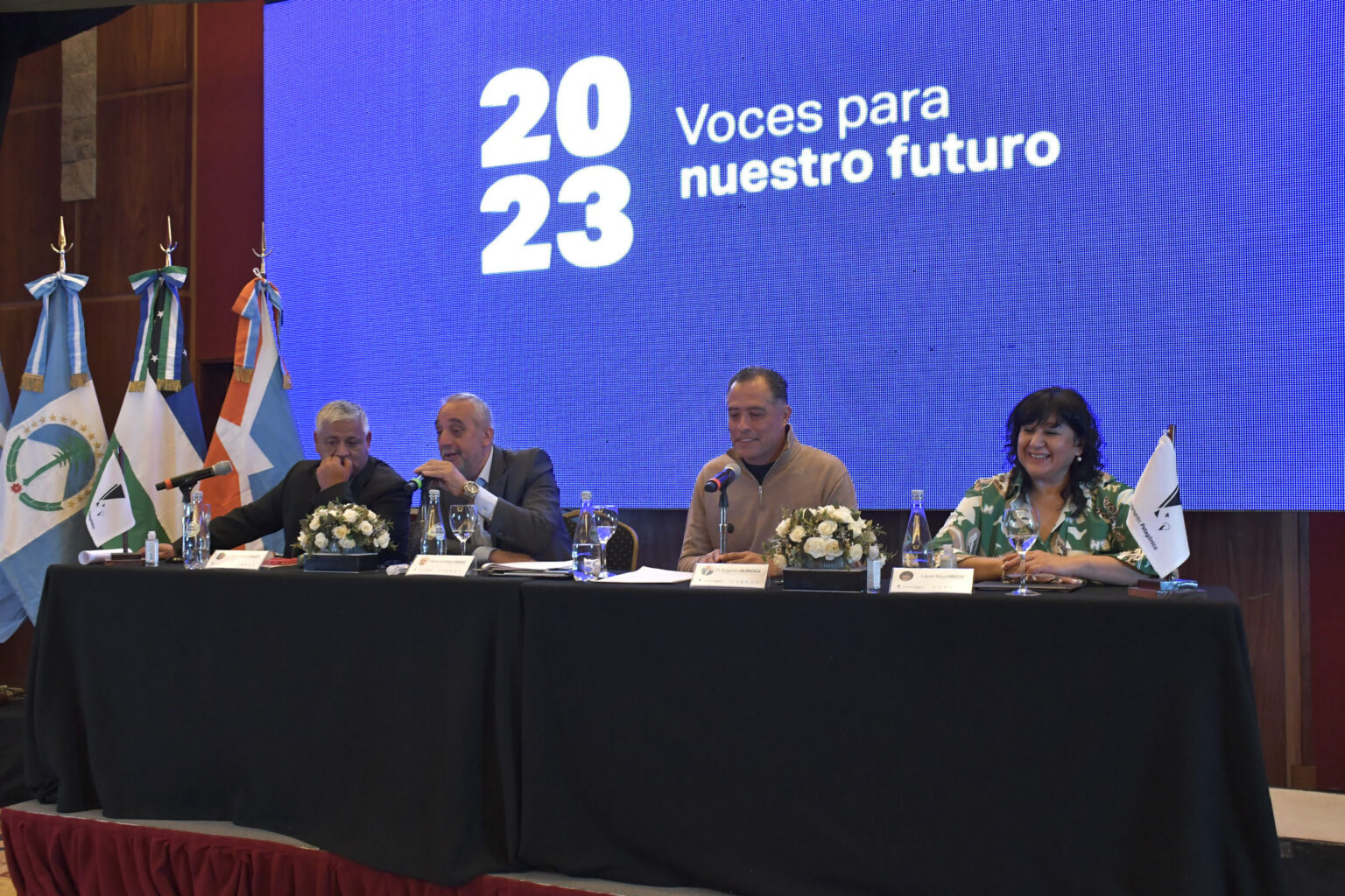 Declaración del Parlamento Patagónico