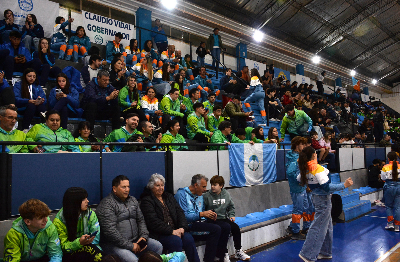 El guanaco en Santa Cruz: entre el desafío ambiental y su potencial nutricional