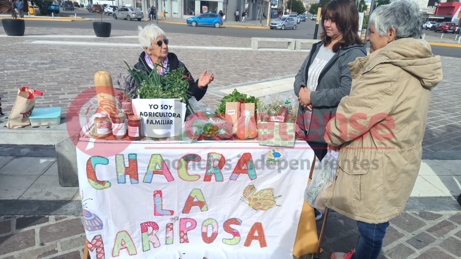 Exportaciones pymes: CAME y PromArgentina consolidan modelo de comercio con el sur de Brasil