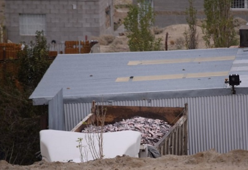 Increíble: en tiempos de hambre tiran 40 toneladas de pescado a la basura