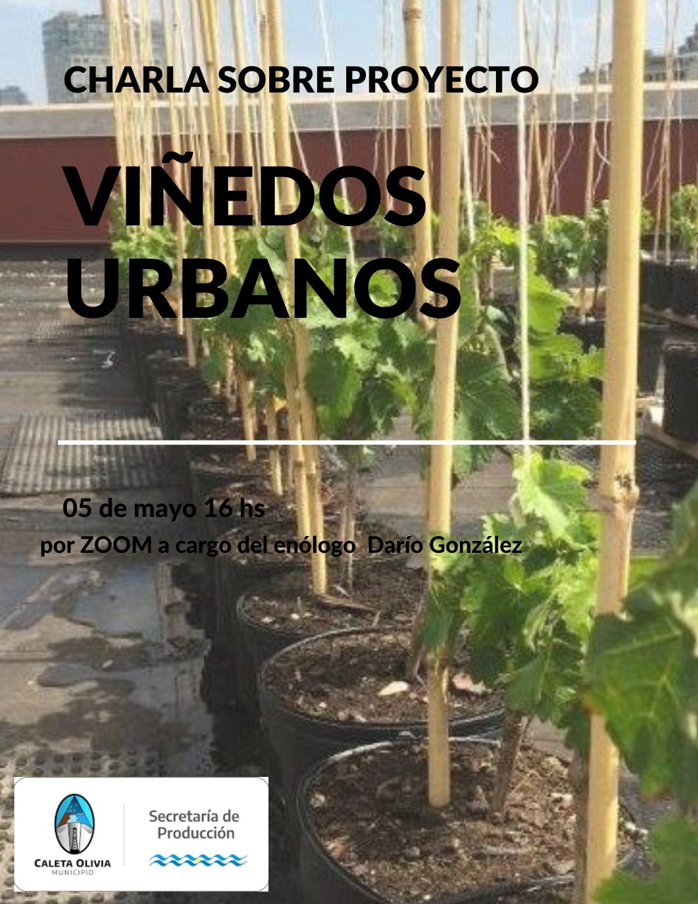 Hoy: Charla Virtual sobre el Proyecto 