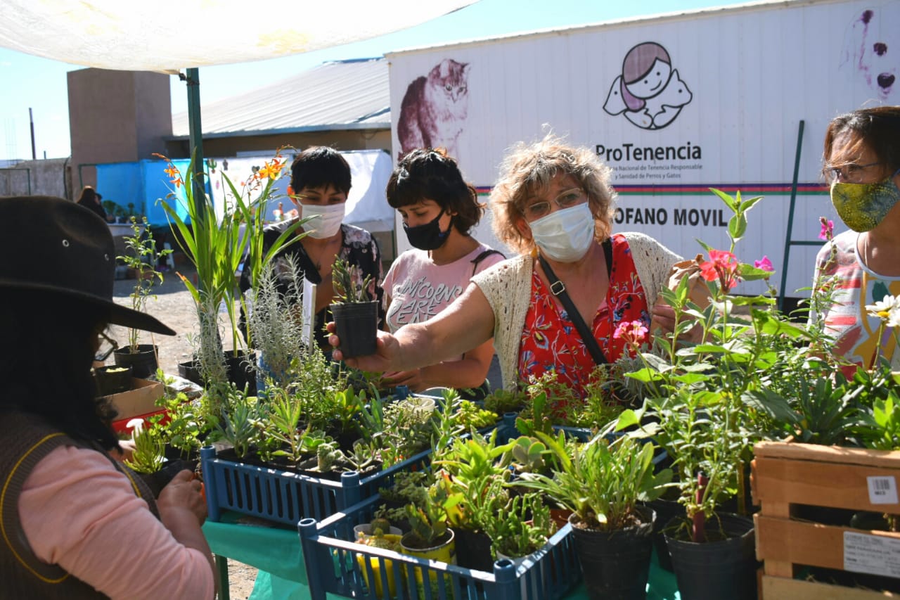 Con amplia concurrencia se realizó una Feria de productores en Zona de Chacras