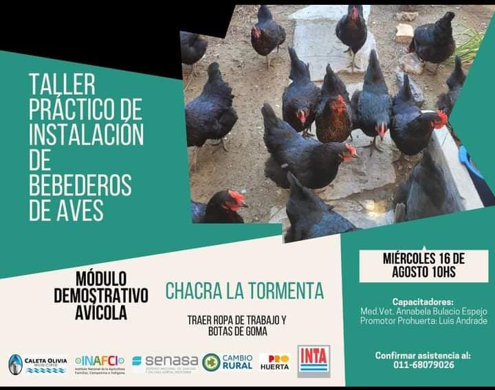 Cañadón Seco vivió una noche de arte, música y reflexión con propuestas culturales abiertas a la comunidad