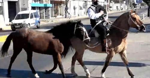Se recibió de abogado a los 54 años y viajó 50 kilómetros a caballo para recibir el título