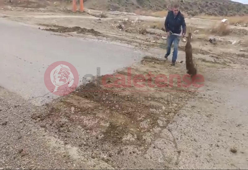Otro vecino de Caleta dedicado a tapar baches en la ciudad