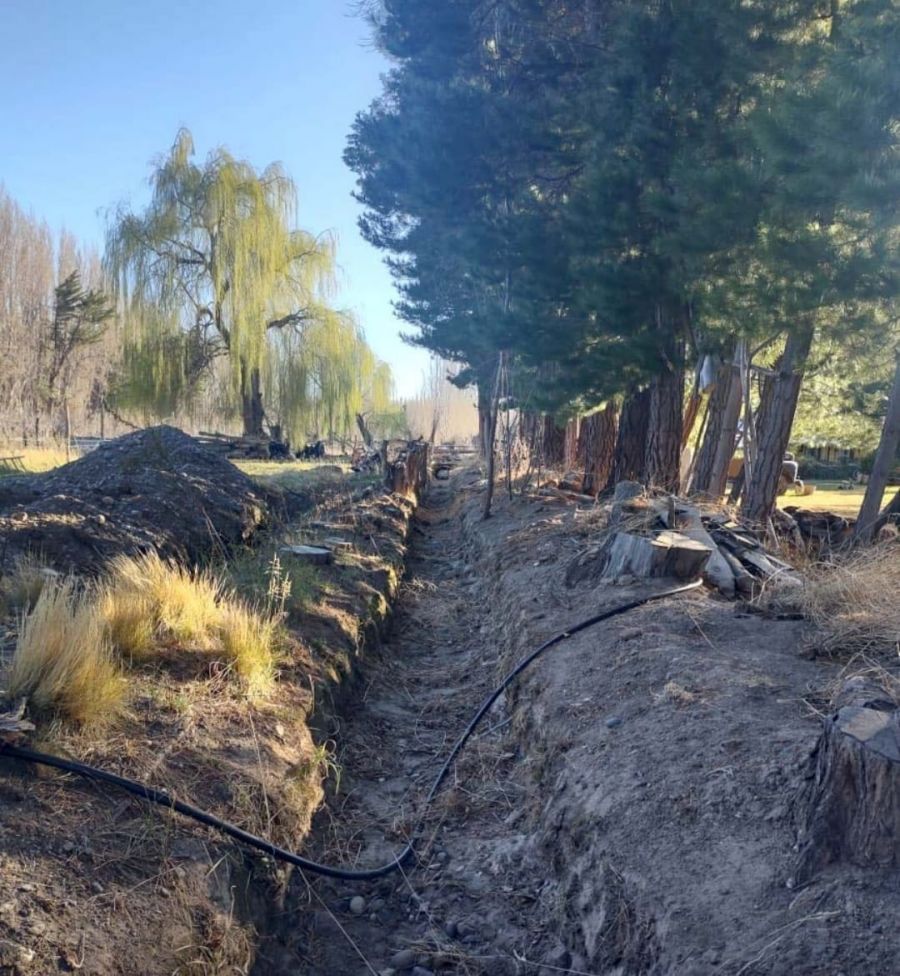 Los Antiguos: Trabajan en la limpieza en canales de riego