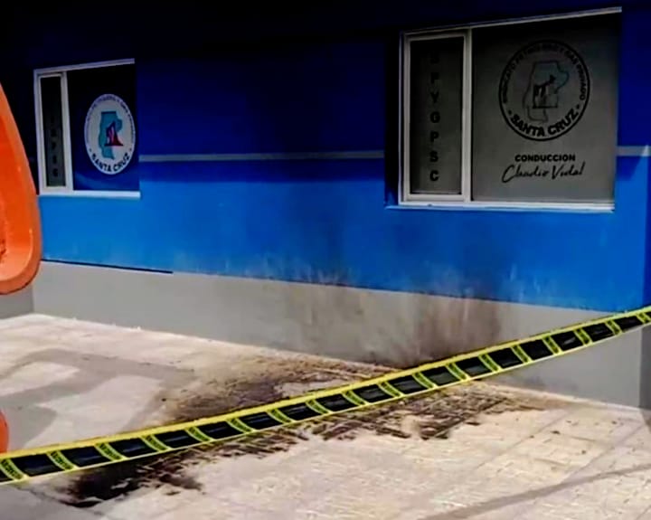 El guanaco en Santa Cruz: entre el desafío ambiental y su potencial nutricional