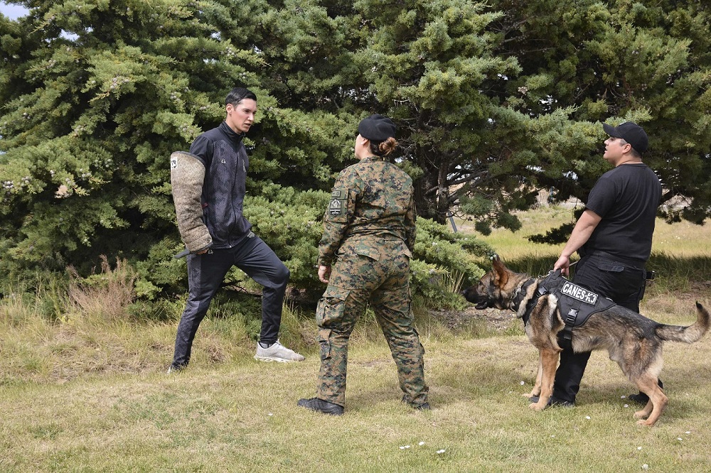 Somos el Estado: Humano y can conforman un sólido equipo de seguridad 