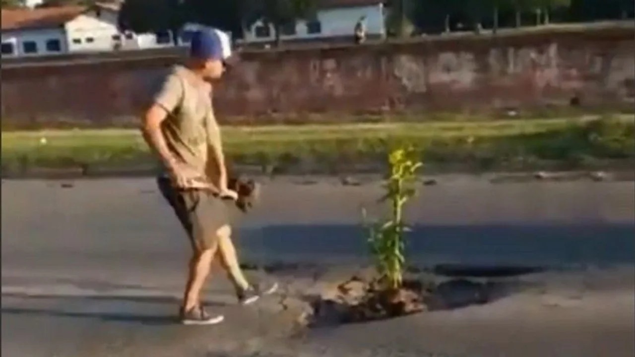Insólito: Un conductor rompió su auto por culpa de un bache y decidió plantar un árbol en el lugar