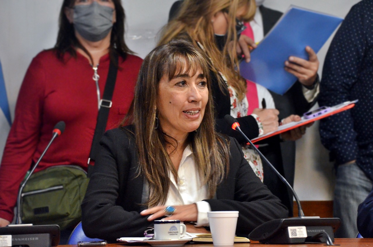 Roxana Reyes asumió la Presidencia de la Comisión de Familias