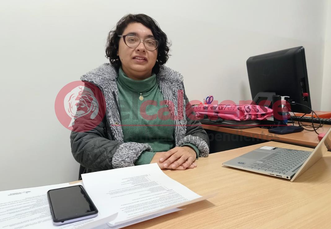 Feriantes: El Municipio otorgará credenciales habilitantes