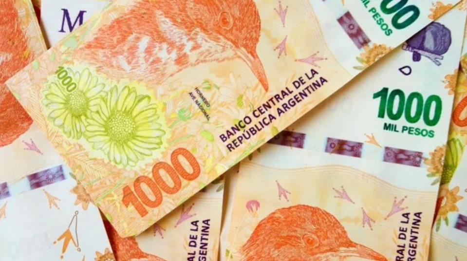 ANSES paga $38.940 desde mayo a un grupo de entre 18 y 65 años: ¿Qué requisitos se piden para cobrarlos?