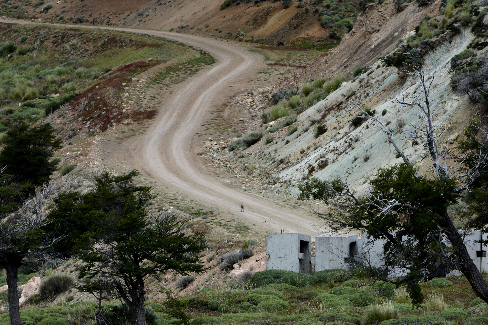 La Justicia sobreseyó a Juan Carlos Molina y a directivos de la fundación