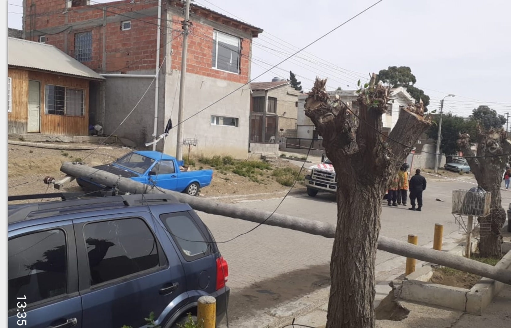 Un camión volcador tiró una palma dejando al barrio Unión sin luz