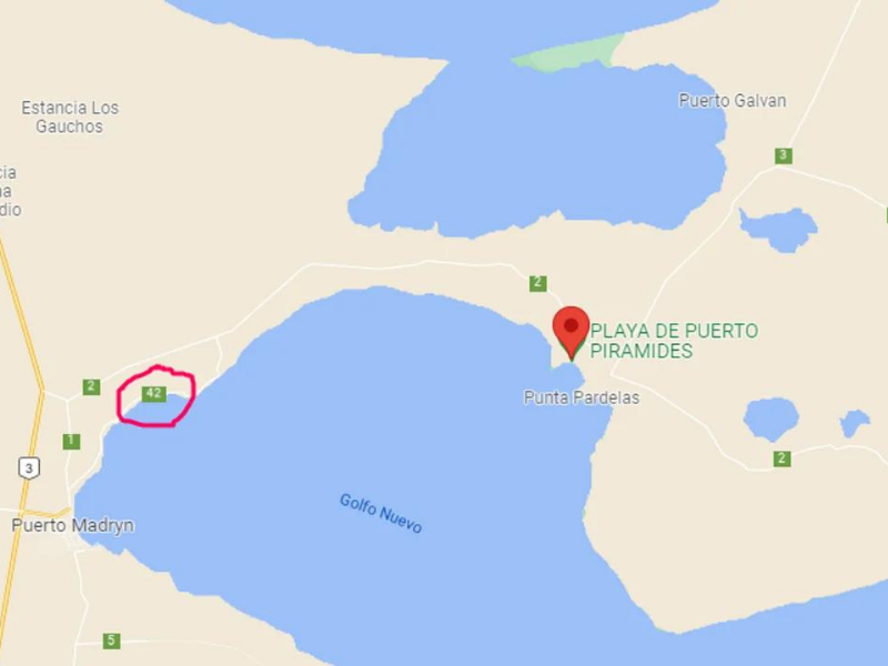La realidad virtual permitió explorar la riqueza del mar patagónico en Caleta Olivia