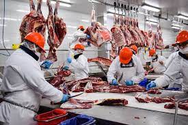  Las exportaciones de carne experimentaron un crecimiento anual del 19,2%