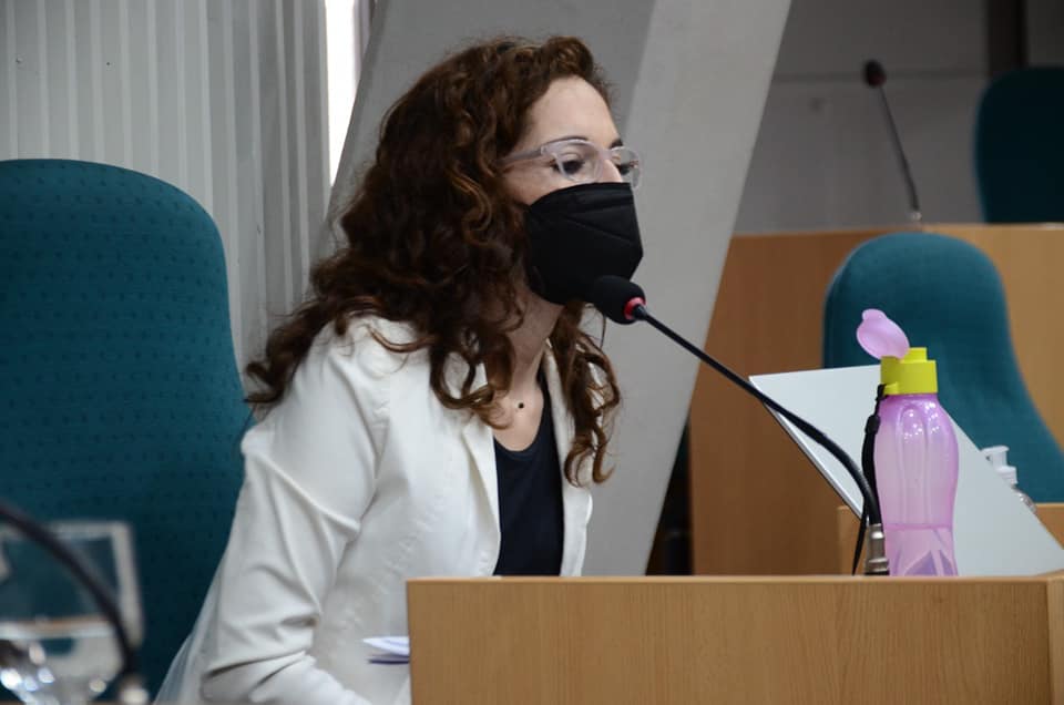Lenguaje inclusivo y capacitación sobre masculinidades en la Cámara de Diputados